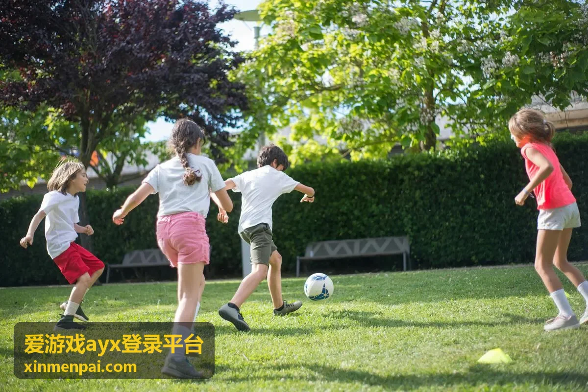 爱游戏ayx登录平台账号安全服务入口卡片图