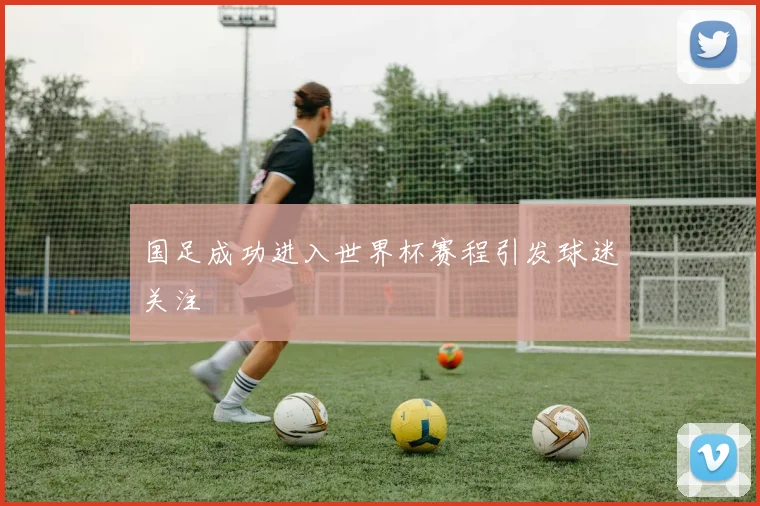 国足成功进入世界杯赛程引发球迷关注