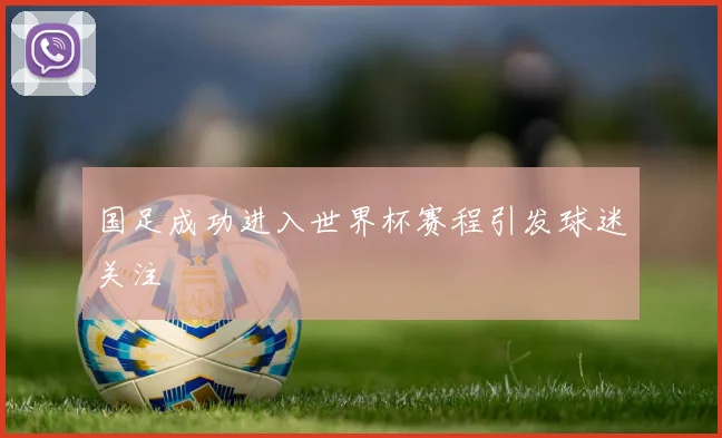 国足成功进入世界杯赛程引发球迷关注
