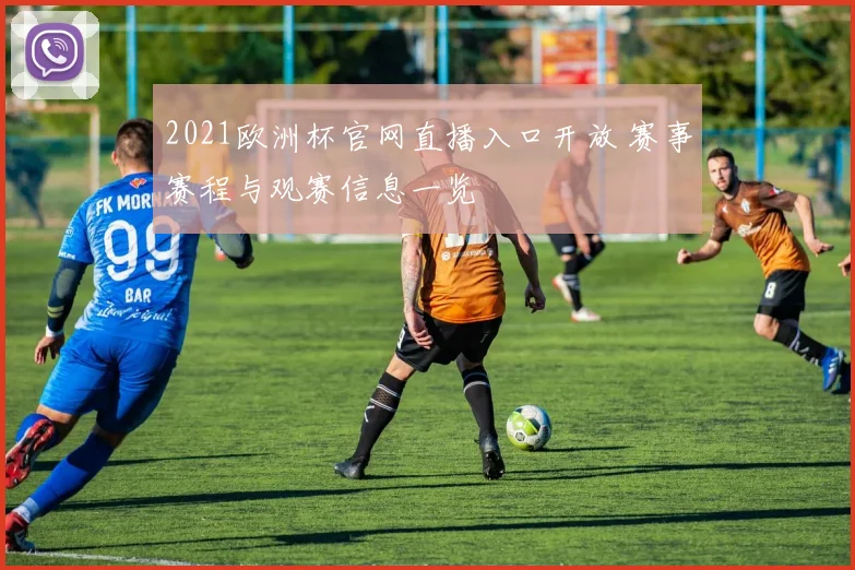 2021欧洲杯官网直播入口开放 赛事赛程与观赛信息一览