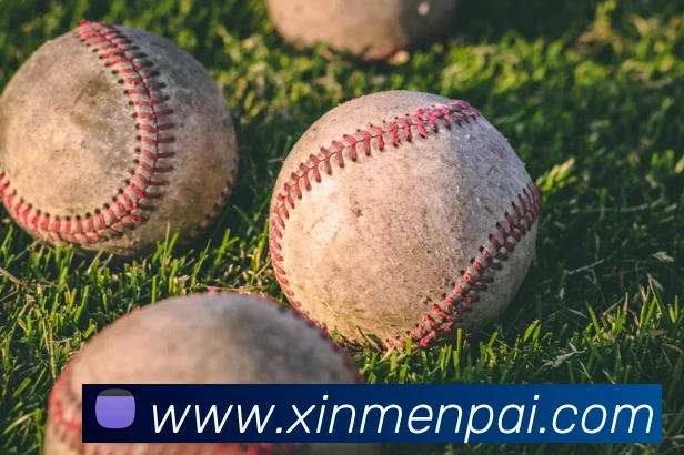 世界杯官方网络平台平台生态图